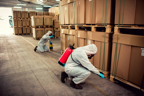 Best Bed Bug Extermination  in West Loch Estate, HI