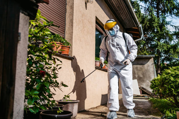 Wasp Removal Services in West Loch Estate, HI