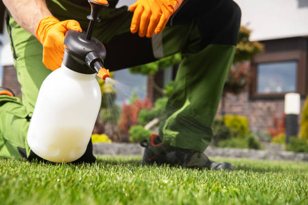 Professional Pest Control in West Loch Estate, HI