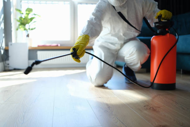 Flea Control Services in West Loch Estate, HI
