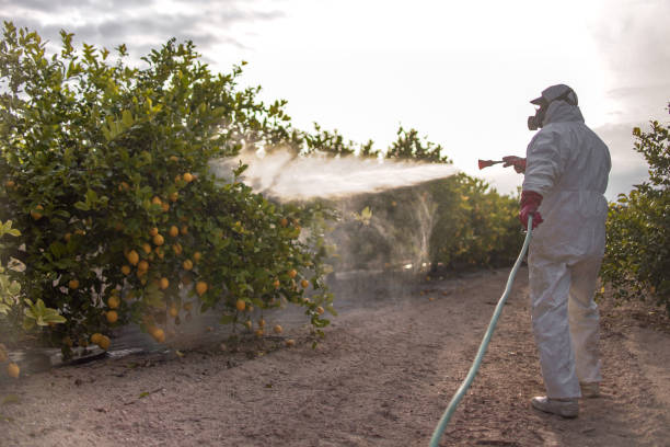 Best Best Pest Control Companies  in West Loch Estate, HI