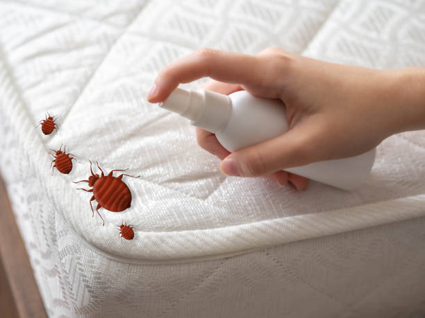 Best Cockroach Control Services  in West Loch Estate, HI