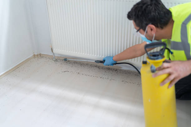 Best Pest Removal Services  in West Loch Estate, HI